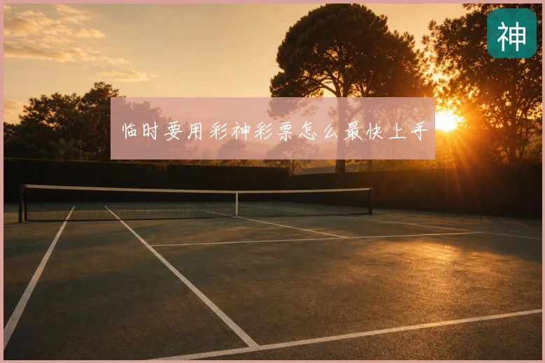 临时要用彩神彩票怎么最快上手
